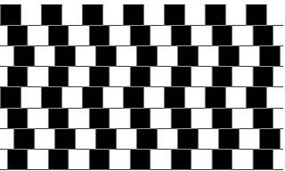 perceptual illusions examples