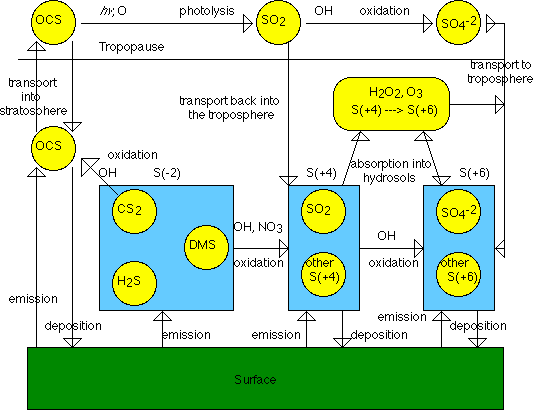 image of the movement of sulfur species