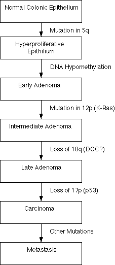 Chart of cancer progression