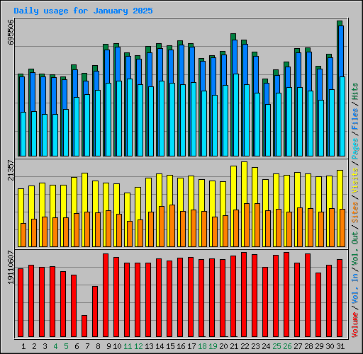 Daily usage for January 2025