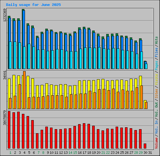 Daily usage for June 2025