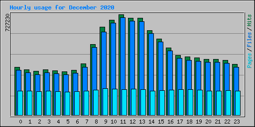 Hourly usage for December 2020