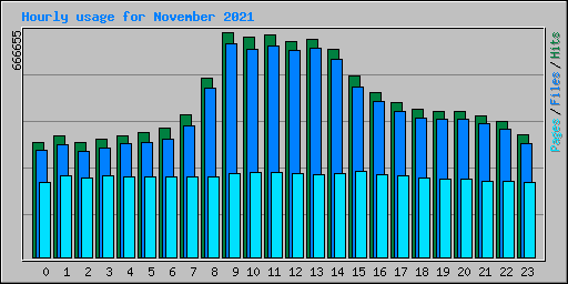 Hourly usage for November 2021