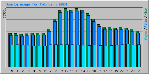 Hourly usage for February 2024