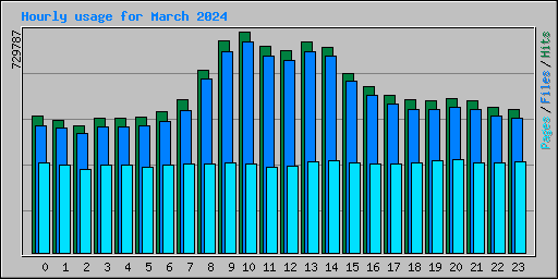 Hourly usage for March 2024