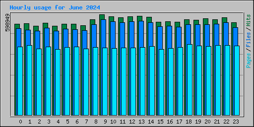 Hourly usage for June 2024