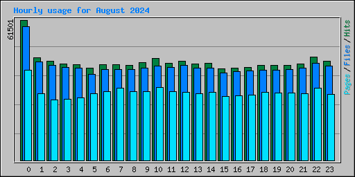 Hourly usage for August 2024