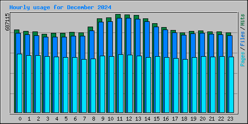 Hourly usage for December 2024