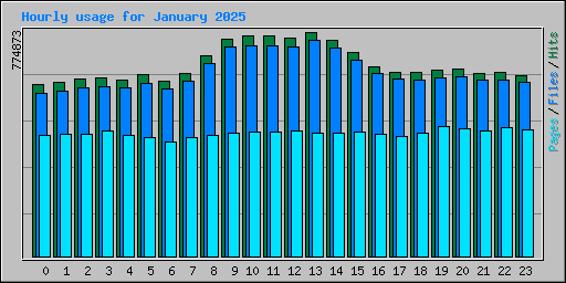 Hourly usage for January 2025