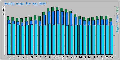 Hourly usage for May 2025