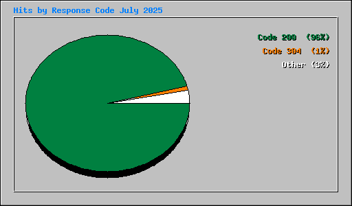 Hits by Response Code July 2025